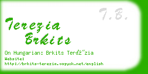 terezia brkits business card